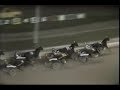 1984 Docs Fella - Roosevelt Raceway 1984 Docs Fella - Roosevelt Raceway