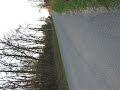 paar kiiremat
