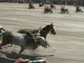 gorai horse bull race avlon zico 4 gorai horse bull race avlon zico 4