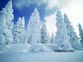 A Beautiful Photo Gallery about Christmas A Beautiful Photo Gallery about Christmas