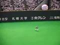 '07日本シリーズマスコット対決