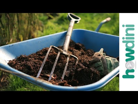 Prohlédnout video