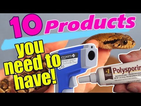 YouTube reptile video