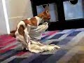love that towel love that towel