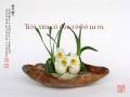 Em Bước Xuống Chùa - Nguyễn Quyết Thắng