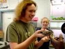 Andyconda vs Python