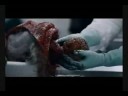 gore - No copyrights belong to me; Music owned by Sony Music Entertainment, and all video clips belong to each individual owner of each clip featured in this compil...