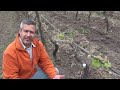 Trabajos en Primavera Viña Schwarzenberg