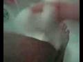 hydrogen...PEROXIDE! part 2