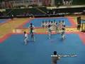 Korean Tigers taekwondo demo