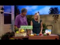 Mango Salsa