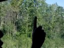 a very long stop sign, pt. 2