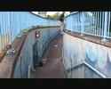 A new begining (watch in high quality!!!!!)
