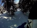 Click here to watch this video dominique maltais blue bird