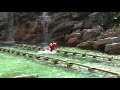 Stupid kid risks life Stupid kid risks life