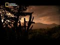 preview dino autopsy 1   national geographic channel
