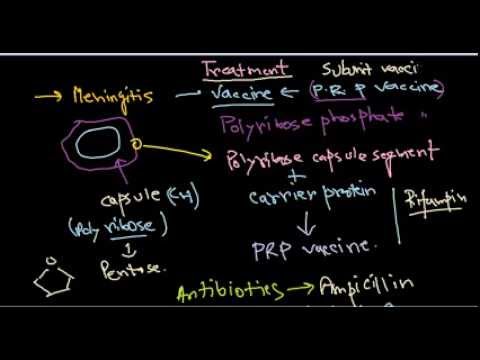 how to treat haemophilus influenzae type b
