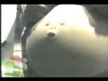 videos de Fischiettando