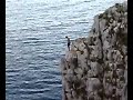 sconci vatte a fa nu tuffo