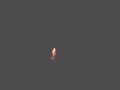 Firework Firework