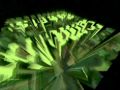 Starbug by Kamelite