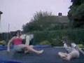 TRAMPOLINE STUNTS