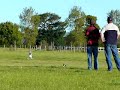 RC Helicopter 3Daerobatics...