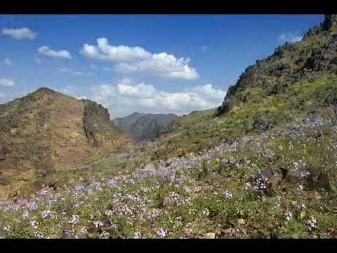صور الكس العربي