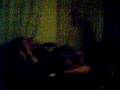 videos de voz de mujarra