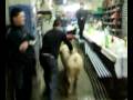 videos de maiale casa ivan 30:11:08
