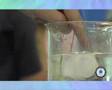 Hielo flotante