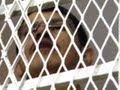 Why Is President Obama Keeping a Journalist in Prison in Yemen?