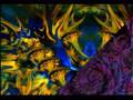 Hallucinogenic Horses - Psykåtikk Sulky
