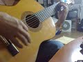 FALSETAS VERDIALES