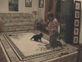 Puppy training German Shepherd
