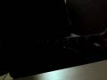 videos de Paralyzed.wmv