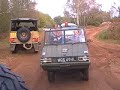haflinger and Pinzgauer
