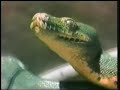 Sesame Street - Snake Film Sesame Street - Snake Film