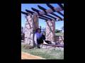 videos de Me niego a estar solo - Fernando Ariel 2008