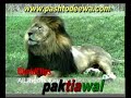 PASHTON-PART 9 PASHTON-PART 9