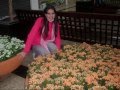 V�deos de Kelly