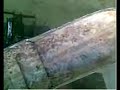 Making a rear fender out of junk with Slice \