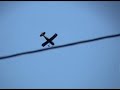 Biplane, nice sound Biplane, nice sound