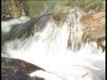 videos de Neu
