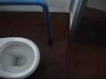 URUGUAY ACCESIBLE© - tratando de ir al baño