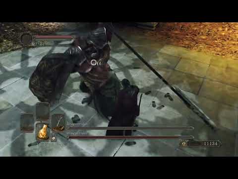 SL1 Dragonrider x 2 at Drangleic Castle, Dark Souls 2: SotFS