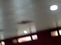 nazis a la facultat de dret  valència 