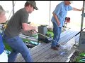 28 lb huge catfish caught on a bamboo Real rod 28 lb huge catfish caught on a bamboo Real rod