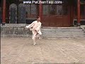 Chen Taijiquan  Double Straight Sword
