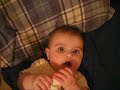 dhalia